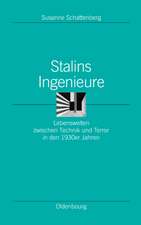 Stalins Ingenieure: Lebenswelten zwischen Technik und Terror in den 1930er Jahren