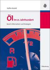 Öl im 21. Jahrhundert - Band II: Alternativen und Strategien