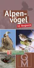 Alpenvögel im Vergleich