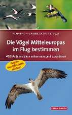 Die Vögel Mitteleuropas im Flug bestimmen