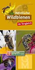 Heimische Wildbienen