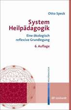 System Heilpädagogik