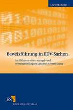 Beweisführung in EDV-Sachen