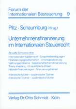 Unternehmensfinanzierung im Internationalen Steuerrecht