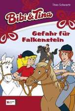 Bibi und Tina 23. Gefahr für Falkenstein