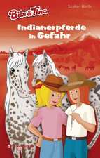 Bibi & Tina - Indianerpferde in Gefahr