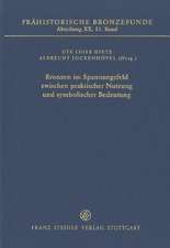 Bronzen Im Spannungsfeld Zwischen Praktischer Nutzung Und Symbolischer Bedeutung