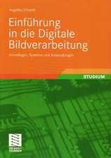 Einführung in die Digitale Bildverarbeitung: Grundlagen, Systeme und Anwendungen