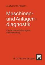 Maschinen- und Anlagendiagnostik: Für die zustandsbezogene Instandhaltung