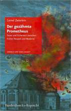 Der Gezahmte Prometheus: Feuer Und Sicherheit Zwischen Fruher Neuzeit Und Moderne