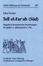 Tell El-Far'ah (Sud): Agyptisch-Levantinische Beziehungen Im Spaten 2. Jahrtausend V.Chr.