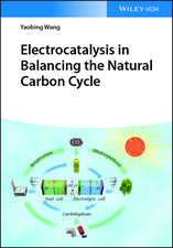 Electrocatalysis in Balancing the Natural Carbon Cycle