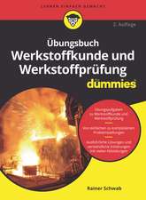 Übungsbuch Werkstoffkunde und Werkstoffprüfung für Dummies 2e