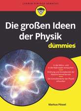 Die groβen Ideen der Physik für Dummies