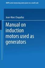 Manual on Induction Motors Used as Generators: A Publication of Deutsches Zentrum für Entwicklungstechnologien — GATE A Division of the Deutsche Gesellschaft für Technische Zusammenarbeit (GTZ) GmbH