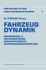 Fahrzeug Dynamik: Reifenmodelle Antriebsstrang Gesamtfahrzeug Schwingungseinwirkung