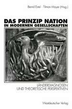 Das Prinzip Nation in modernen Gesellschaften: Länderdiagnosen und theoretische Perspektiven