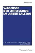 Wagnisse der Anpassung im Arbeitsalltag: Ich, Selbst und soziale Handlung in Fallstudien