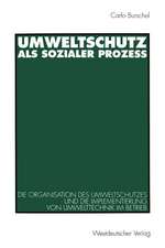 Umweltschutz als sozialer Prozeß: Die Organisation des Umweltschutzes und die Implementierung von Umwelttechnik im Betrieb