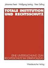 Totale Institution und Rechtsschutz: Eine Untersuchung zum Rechtsschutz im Strafvollzug