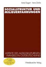 Sozialstruktur und Milieuerfahrungen: Empirische und theoretische Aspekte des alltagskulturellen Wandels in Ostdeutschland