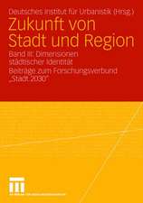 Zukunft von Stadt und Region: Band III: Dimensionen städtischer Identität. Beiträge zum Forschungsverbund 