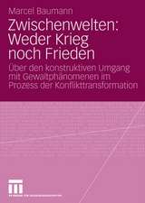 Zwischenwelten: Weder Krieg noch Frieden: Über den konstruktiven Umgang mit Gewaltphänomenen im Prozess der Konflikttransformation