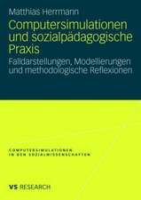 Computersimulationen und sozialpädagogische Praxis: Falldarstellungen, Modellierungen und methodologische Reflexionen