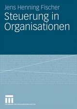 Steuerung in Organisationen