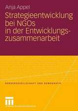 Strategieentwicklung bei NGOs in der Entwicklungszusammenarbeit