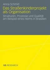 Das Straßenkinderprojekt als Organisation: Strukturen, Prozesse und Qualität am Beispiel eines Heims in Brasilien