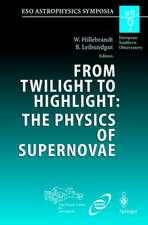 From Twilight to Highlight: The Physics of Supernovae: Proceedings of the ESO/MPA/MPE Workshop Held at Garching, Germany, 29–31 July 2002