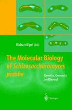 The Molecular Biology of Schizosaccharomyces pombe: Genetics, Genomics and Beyond