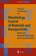 Morphology Control of Materials and Nanoparticles: Advanced Materials Processing and Characterization