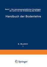 Handbuch der Bodenlehre: Band 1: Die naturwissenschaftlichen Grundlagen der Lehre von der Entstehung des Bodens