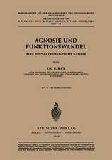 Agnosie und Funktionswandel: Eine hirnpathologische Studie