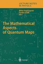 The Mathematical Aspects of Quantum Maps