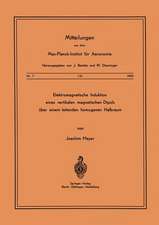 Elektromagnetische Induktion eines vertikalen magnetischen Dipols über einem leitenden homogenen Halbraum