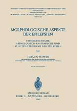 Morphologische Aspekte der Epilepsien: Pathogenetische, Pathologisch-Anatomische und Klinische Probleme der Epilepsien