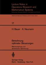 Berechnung optimaler Steuerungen: Maximumprinzip und dynamische Optimierung