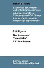 The Anatomy of “Paleocortex”: A Critical Review