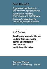 Das Epoophoron der Henne und die Transformation seiner Epithelzellen in Interrenal- und Interstitialzellen