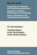 Tranformations in the Facial Region of the Human Embryo