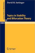 Topics in Stability and Bifurcation Theory