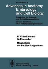 Morphologie der Papillae fungiformes: Rasterelektronenmikroskopische, licht- und elektronenmikroskopische Untersuchungen