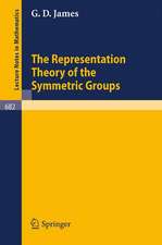 The Representation Theory of the Symmetric Groups