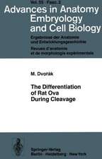 The Differentiation of Rat Ova During Cleavage