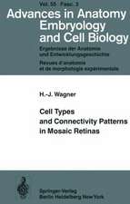 Cell Types and Connectivity Patterns in Mosaic Retinas