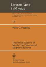 Theoretical Aspects of Mainly Low Dimensional Magnetic Systems