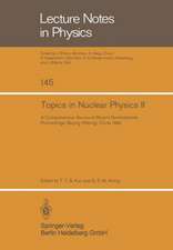 Topics in Nuclear Physics II